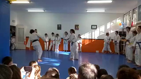 02-Navidad2016-Exhibición JUDO Palomares